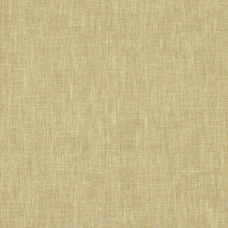 Upholstery fabric swatch